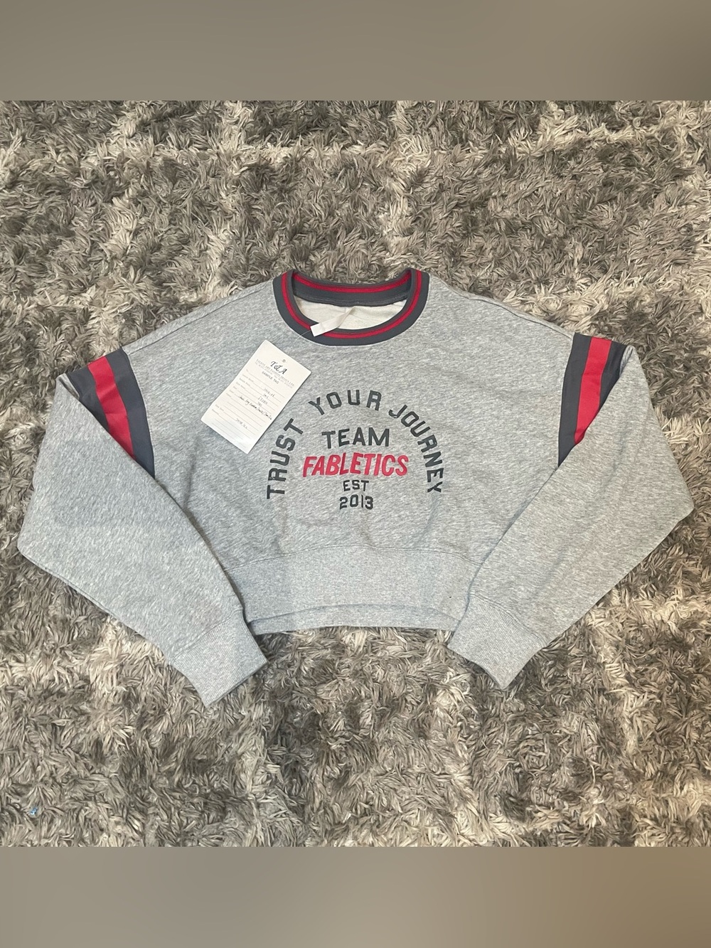 Fabletics Trust Your Journey Team Fabletics Cropped Crewneck Sweatshirt Gray XXS